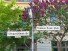 Hauptbild Viktoria-Luise-Platz! Sonnige, gepflegte 2 Zi.-Wohnung mit S�dbalkon.
