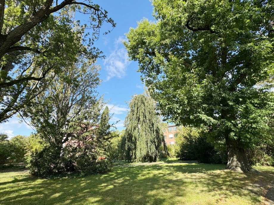 Umgebung Etagenwohnung Berlin