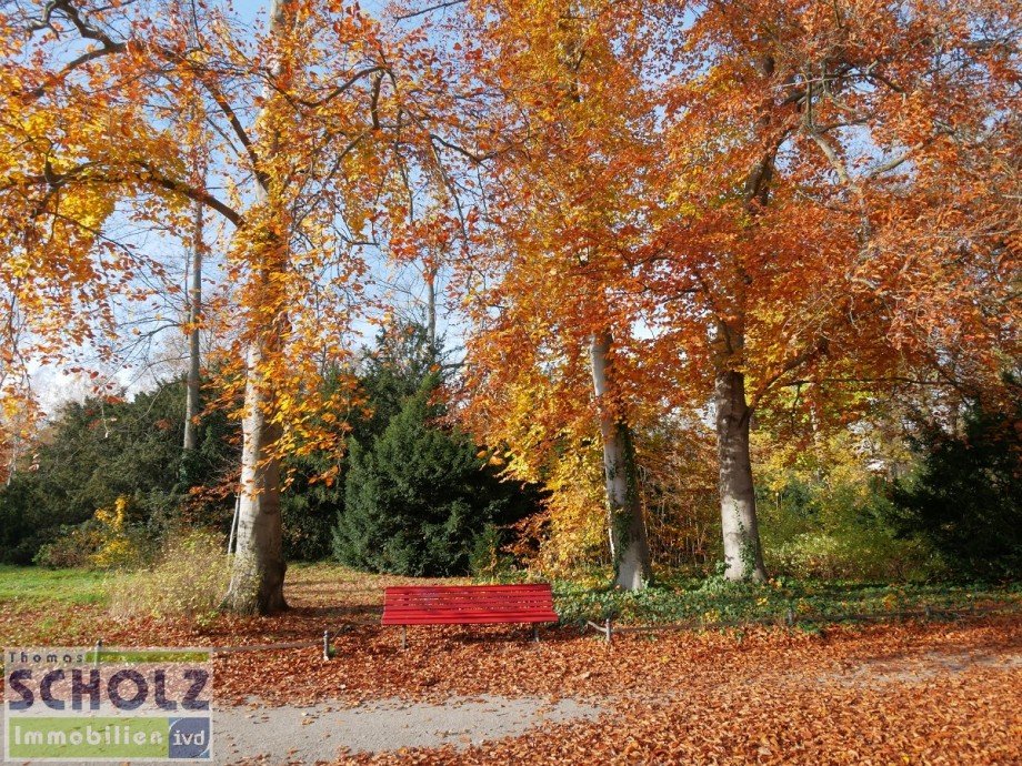 Stadtpark Steglitz Etagenwohnung Berlin