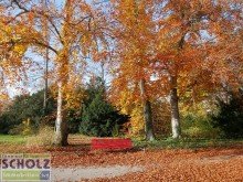 Stadtpark Steglitz Steglitz - Tolle 2 Zi.-Whg. im Bestzustand - sonnig, ruhig, modernisiert