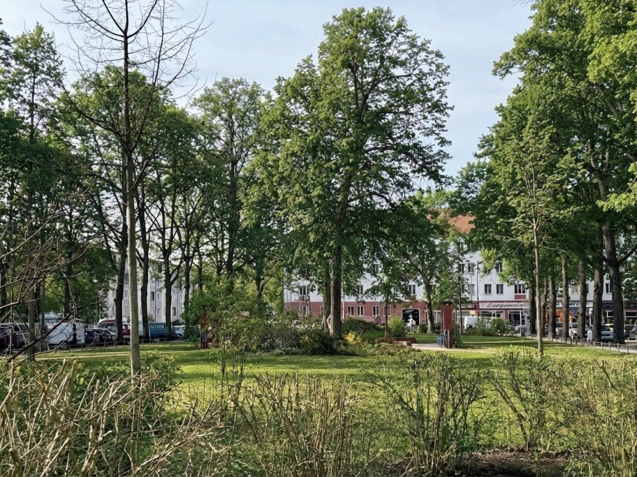 Gr�nfl�che Umgebung Dachgeschosswohnung Berlin