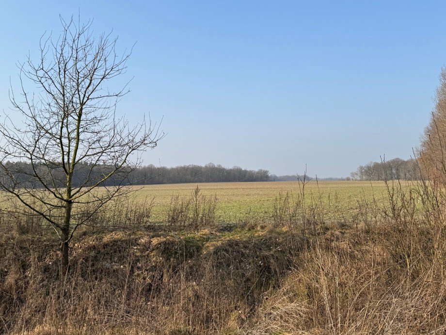 Umgebung Einfamilienhaus Gro�beeren