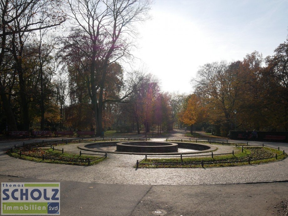 Stadtpark Steglitz Etagenwohnung Berlin